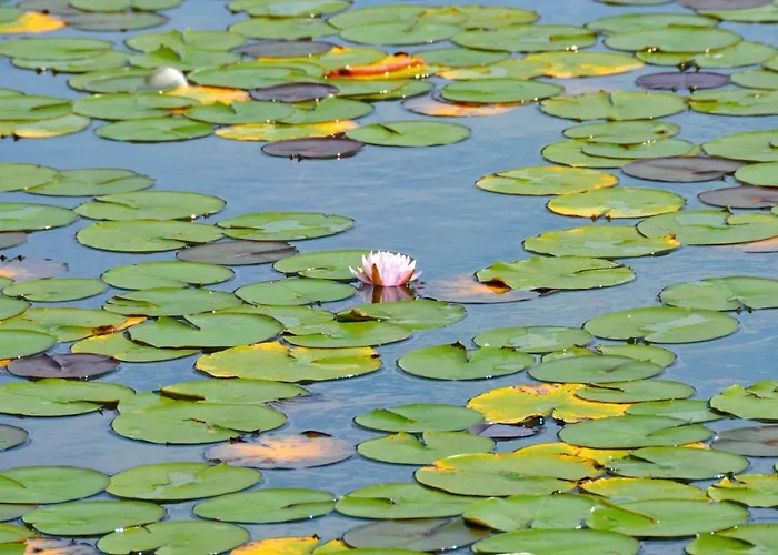 Dermuth - Sonnengrund Portschach am Woerthersee